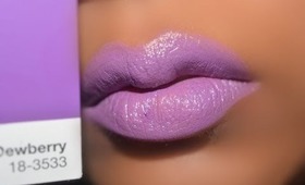 Dewberry (pantone) new Angeline's Addiction Lip Shot- Orlando Makeup Artist