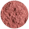 Youngblood Crushed Mineral Blush ROUGE