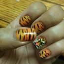tiger strips