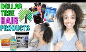 DOLLAR TREE HAUL! DOLLAR TREE HAIR PRODUCTS + CURLY HAIR ROUTINE!