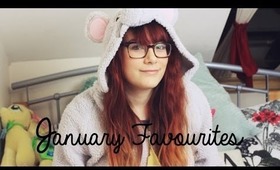 January Favourites 2014 | TheCameraLiesBeauty