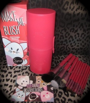 ♥ SIGMA "Make me Blush" Brush Kit

♥.....♥.....♥.... These brushes!! 