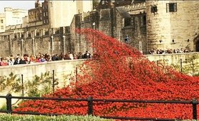 Poppies at Tower Bridge.  Remembrance Day for Fallen Soldiers