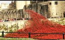 Poppies at Tower Bridge.  Remembrance Day for Fallen Soldiers