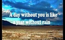 ☁A Year Without Rain☁ Selena Gomez  w/lyrics
