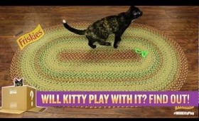 Will Kitty Play With It?