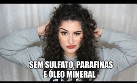 1 MÊS SEM SULFATOS, PARAFINAS E ÓLEO MINERAL - O QUE MUDOU NO MEU CABELO?