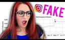 FAKE INSTAGRAM INFLUENCERS!? Response To EXPOSED! By Chloe Morello