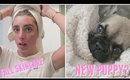 MEET MY NEW BABY?! MINI NEW MOM SKINCARE ROUTINE! | Daily Vlog Lauren Elizabeth