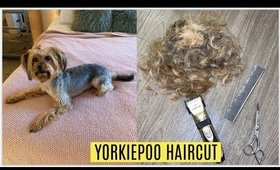 I GAVE MY YORKIEPOO AN UGLY HAIRCUT!!🐶