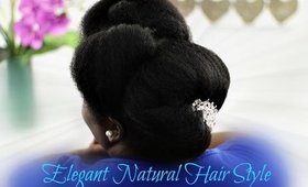 Natural Hair Elegant UpDo