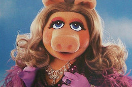 Weird Beauty Tips From Miss Piggy and The Stars Of The 80’s