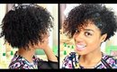 Defined Twist Out Tutorial On Short Natural Hair | Pure Naturals Hair Line