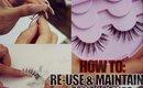 HOW TO: RE-USE AND MAINTAIN FAKE LASHES