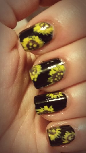 Yellow sunflowers on black