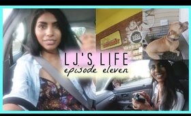 VLOG: Home Again, Saying Goodbye, & Weekend Grocery Haul