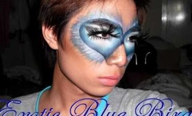 Exotic Blue Bird Halloween Makeup Tutorial