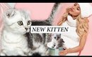 MEETING THE NEW BABY KITTEN *Emotional*