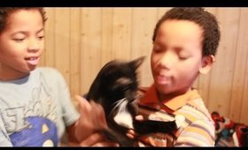 The Cat Movie Part 1  Featuring  Snarf And Stripe and The Human brothers ;)