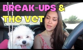 VLOGust: HOW TO Survive A Breakup & The VET