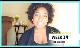 Pregnancy Week 14 | Jessica Chanell