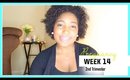Pregnancy Week 14 | Jessica Chanell