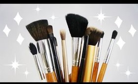 HOW TO CLEAN MAKEUP BRUSHES!