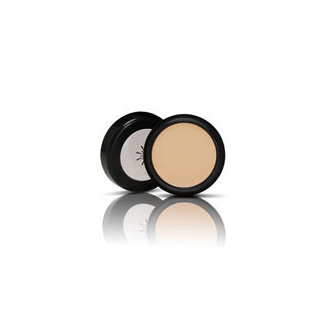 Missha The Style Perfect Concealer