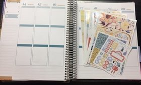 PLAN WITH ME | SPC Forever Kit |November 14-20