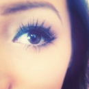 lash love. ♡