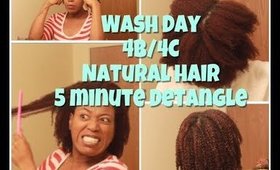 How to | Detangle 4B/4C Hair In Less then 5 Minute