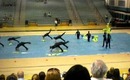 Montclair High School Winterguard 2010