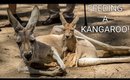 FEEDING A KANGAROO ON OUR LAST DAY! | AUSTRALIA DAY 9