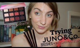 Peach Dream Palette + Juno & Co. Brushes First Impressions