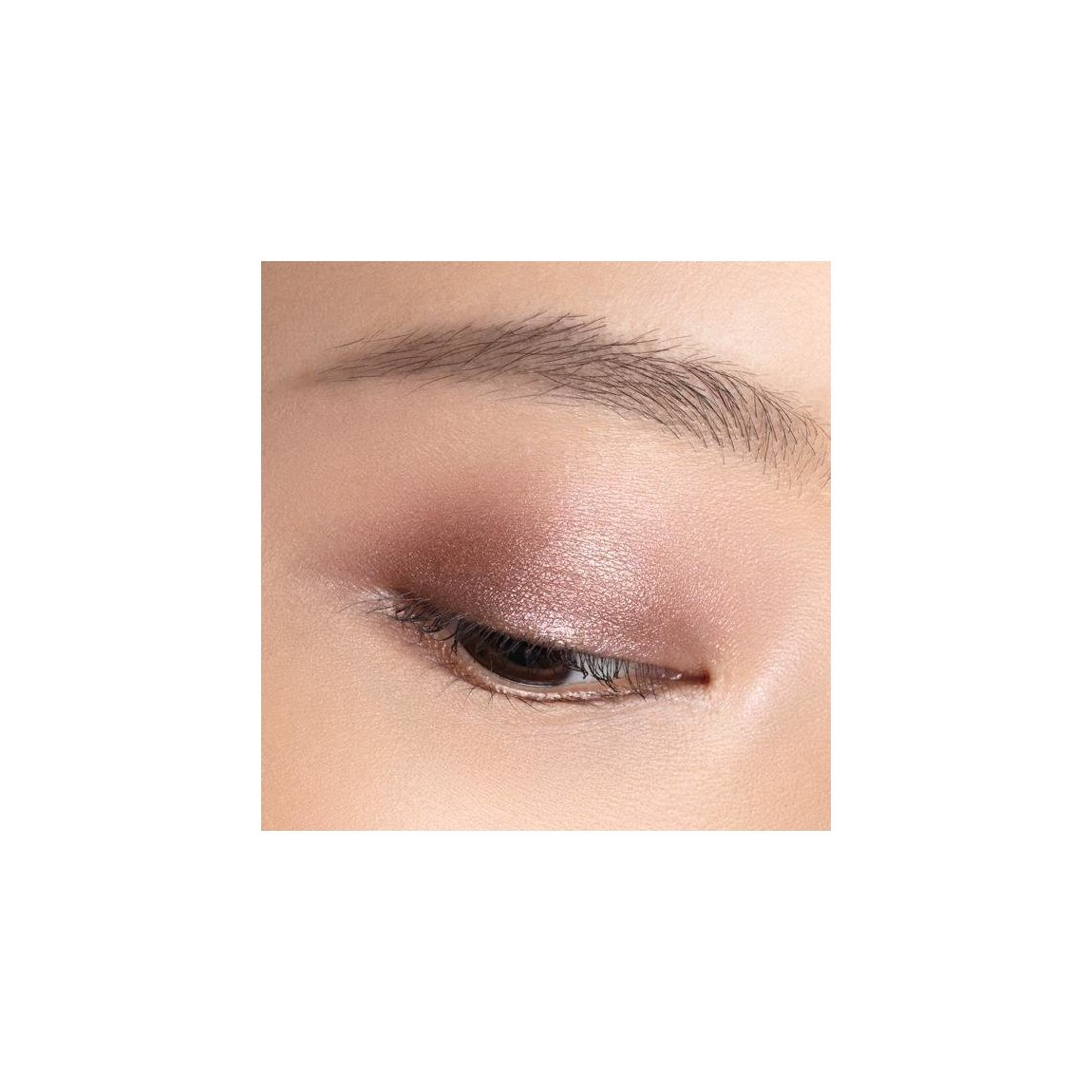 Chantecaille Luminescent Eye Shade Pangolin | Beautylish
