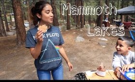 First Time in the Wild! Mammoth Lakes