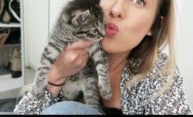 VLOG #88 - KLEINE KITTEN!