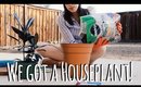 Going to the Chiropractor, Our Favorite Lunch Spot, and Buying a Houseplant Vlog