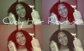 Curly Hair Routine | 2013