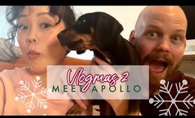 Meet Apollo | Vlogmas 2019