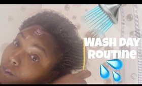 Wash Day Routine 4B/4C Natural Dry Hair