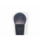 Blender Brush