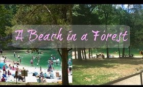 We Found A Beach In A Forest | Beach Day Vlog | Hidden Beach