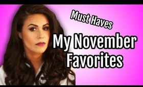My November Favorites: Mac Concealer, Dubonet, Brush, & Nioxin Shampoo and Conditioner