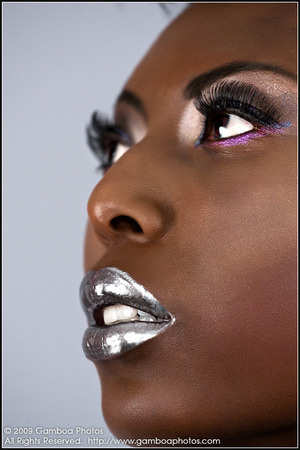 Chrome Lips, MU by Allison Stout

Made with MAC lipglass and Mehron silver pigment.