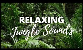 JUNGLE SOUNDS | [Relaxing Jungle Sounds for Sleeping]