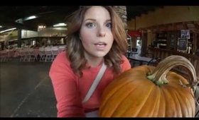 Minnesota Harvest Pumpkin Patch and Apple Orchard