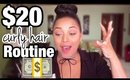 $20 Curly Hair Routine Challenge! | HIGH POROSITY Natural Hair | MelissaQ