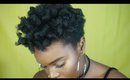 How To Flexi Rod Short 4C Hair Using The Camille Rose Naturals Line