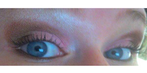 Eyeshadow Brown and Pink 